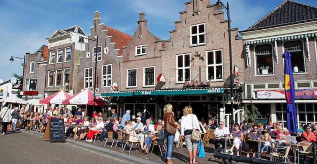 Huisje Britt Met Grote Tuin En Veel Privacy Dirkshorn Eksteriør billede