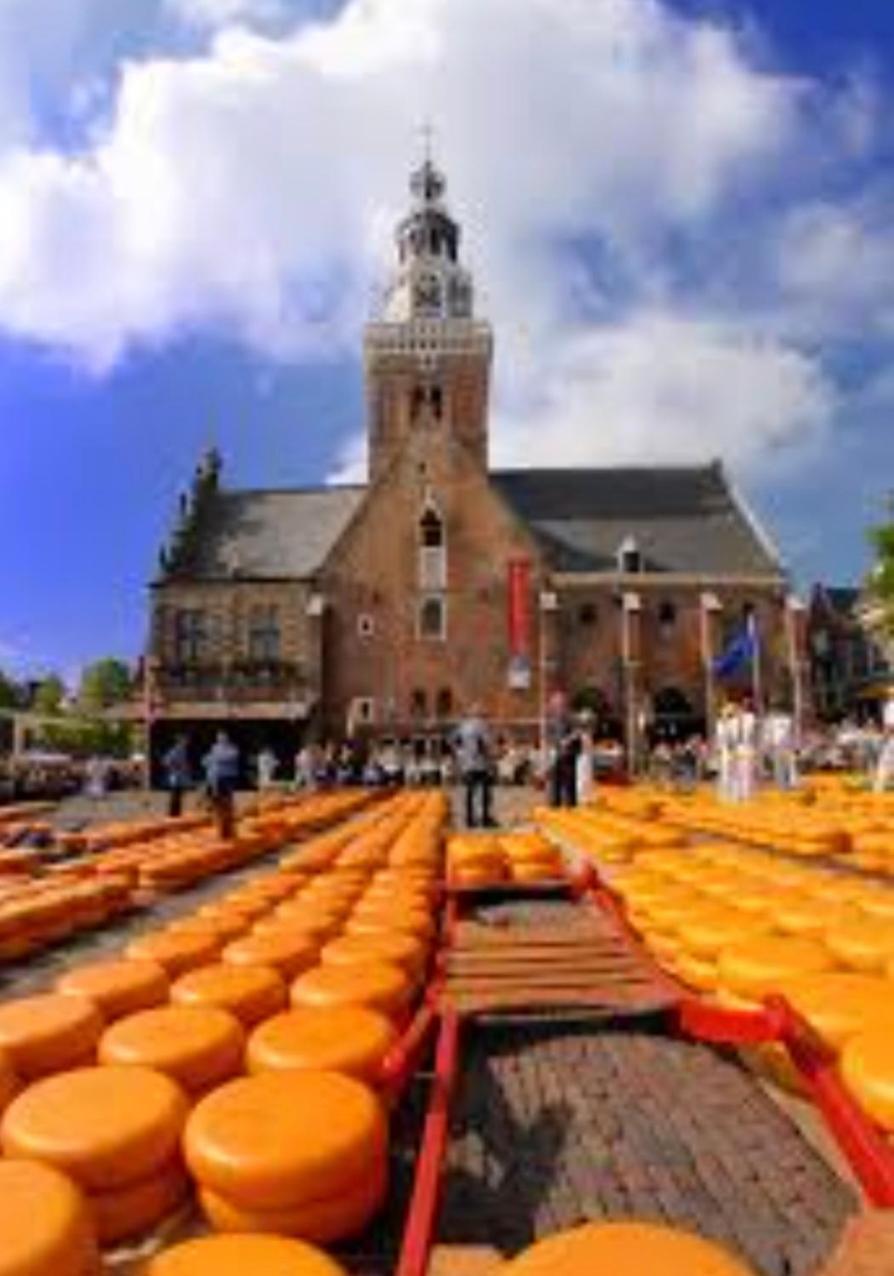 Huisje Britt Met Grote Tuin En Veel Privacy Dirkshorn Eksteriør billede