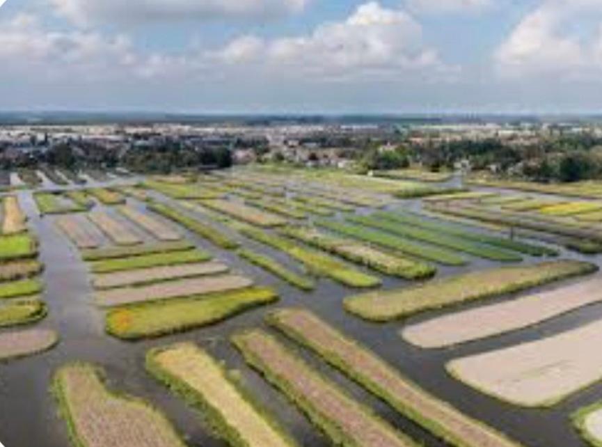 Huisje Britt Met Grote Tuin En Veel Privacy Dirkshorn Eksteriør billede
